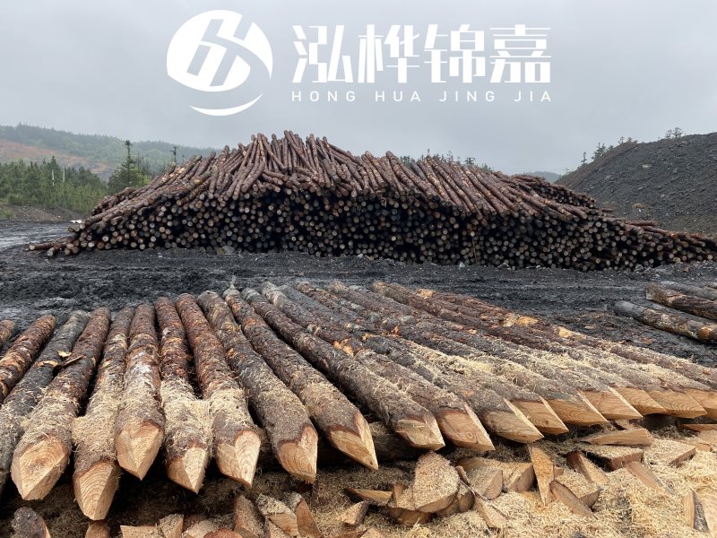 6米長(zhǎng)松木樁有哪些作用，多少錢一根？