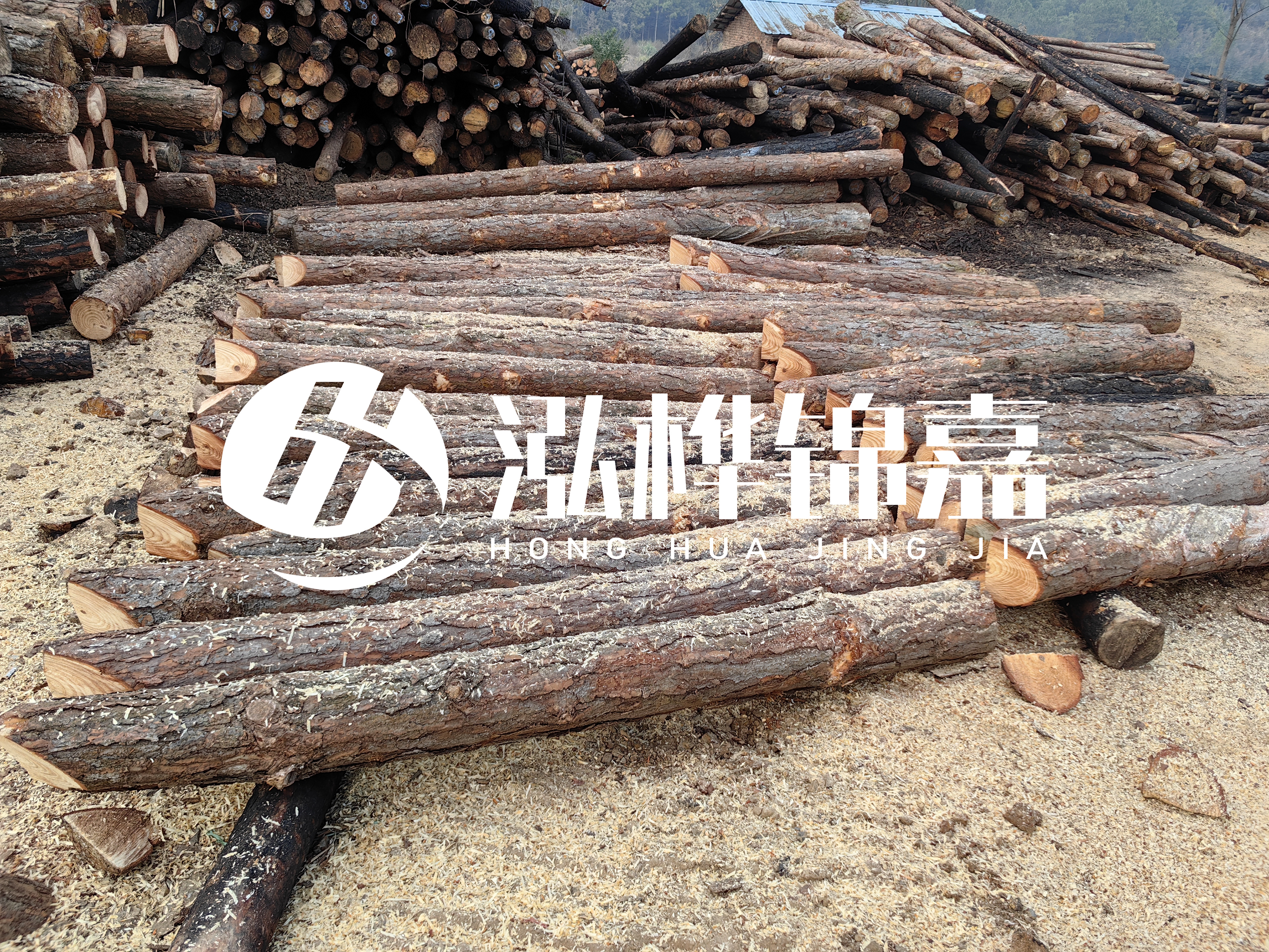 河道打樁木重復(fù)利用嗎？