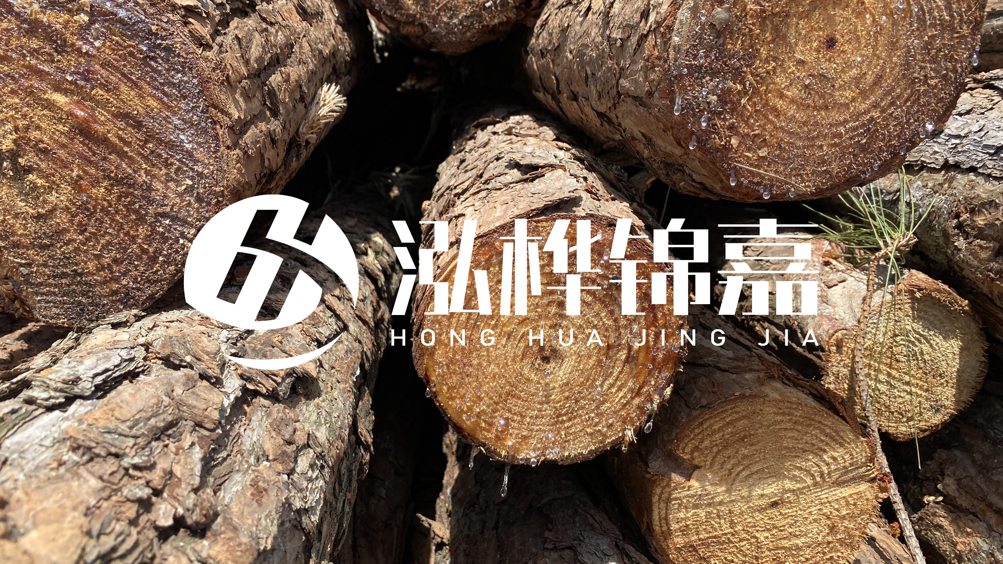 為什么要用松木樁治理河道？