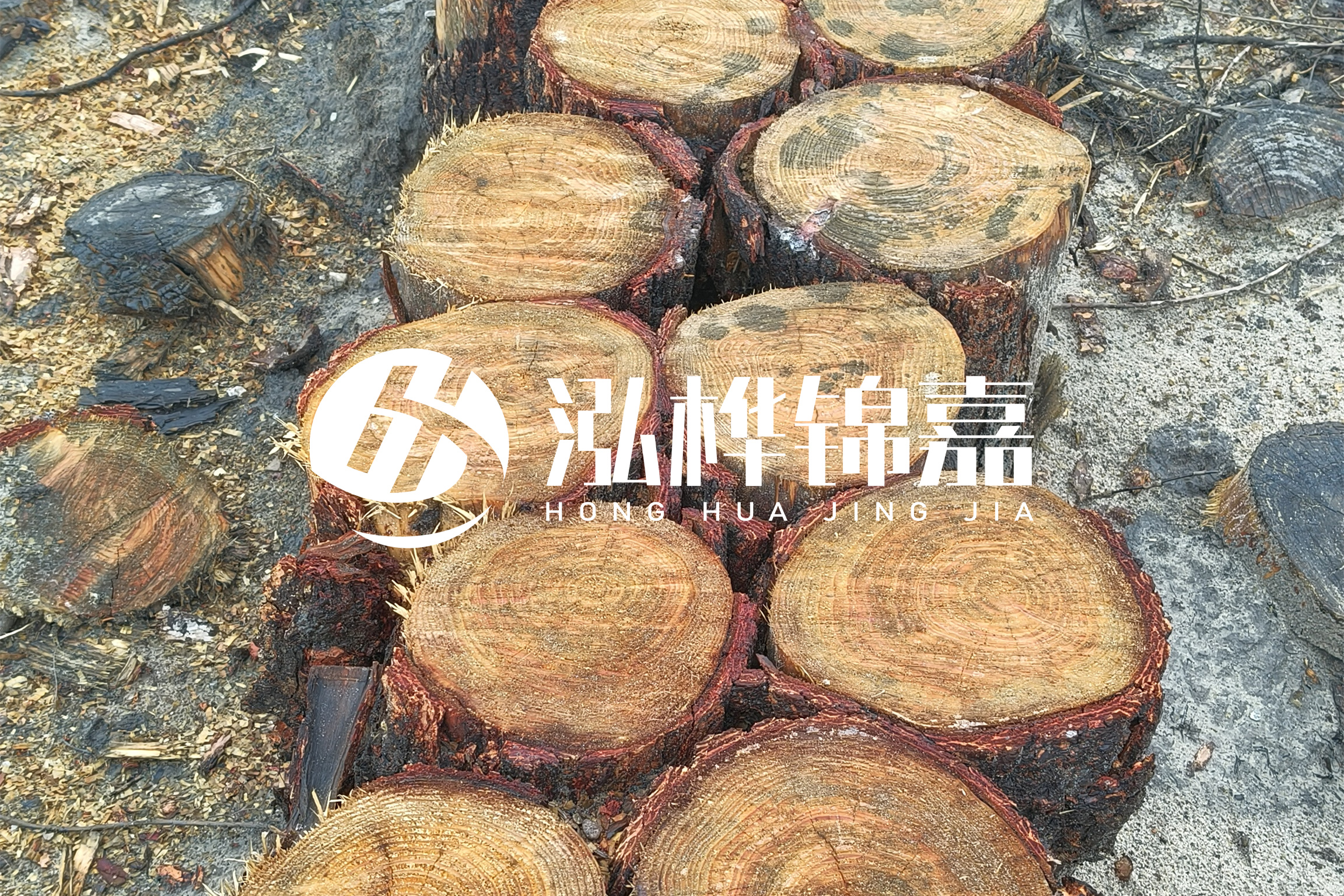 浙江臺(tái)州有清淤的公司嗎？浙江臺(tái)州有清淤施工隊(duì)嗎？