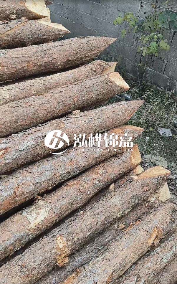 松木樁哪里能大量供應(yīng)？4米20公分松木樁價格是多少？