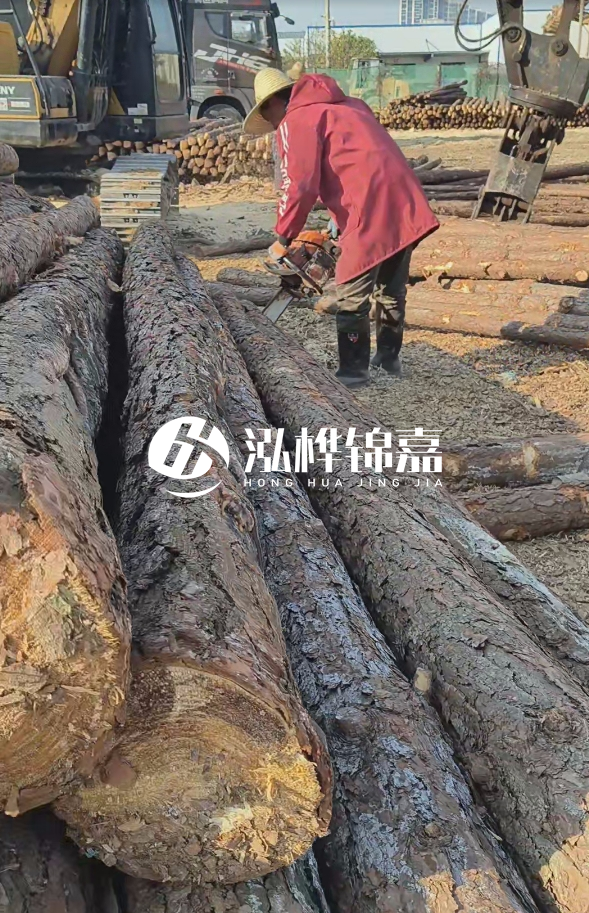 長沙打樁木批發(fā)廠家在哪里？聯(lián)系方式是什么？