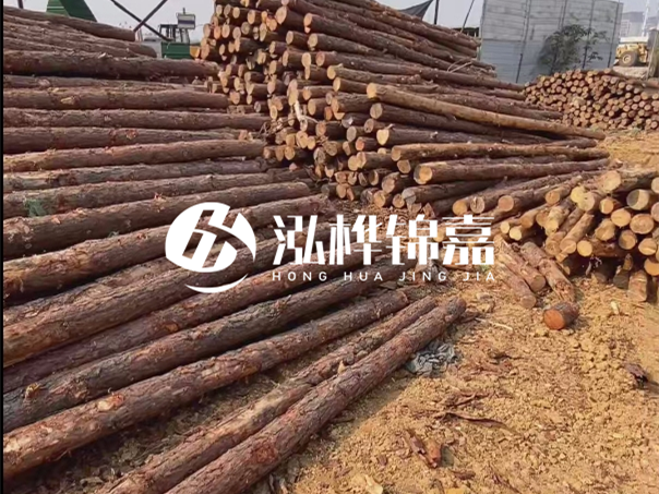 河道木樁施工遇到淤泥怎么辦？打多深才能防沖刷？