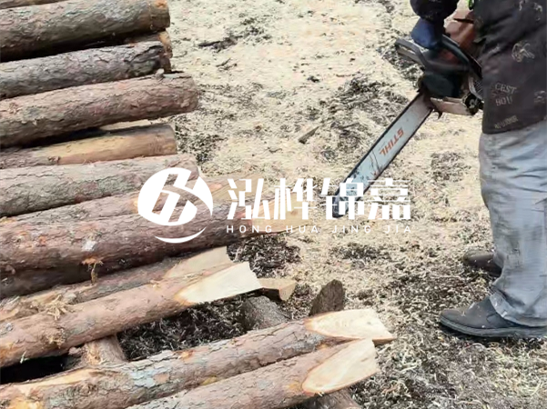 杉木樁批發(fā)廠家哪家好？產(chǎn)地直供渠道推薦！