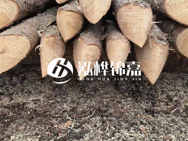 打樁木樁與鋼樁相比有哪些優(yōu)缺點？如何進(jìn)行后期維護(hù)？