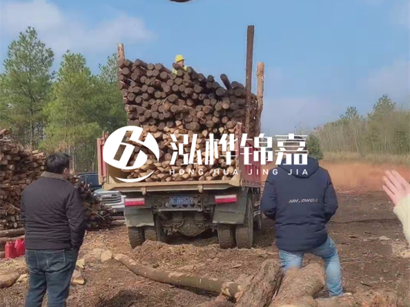 松木樁價格是按米算還是按根算？6米松木樁批發(fā)價每根多少錢？
