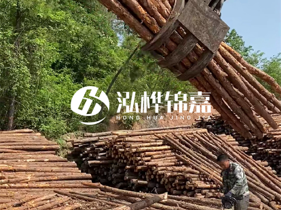 哪里能買到優(yōu)質(zhì) 3 米松木樁？長沙有松木樁批發(fā)工廠嗎？