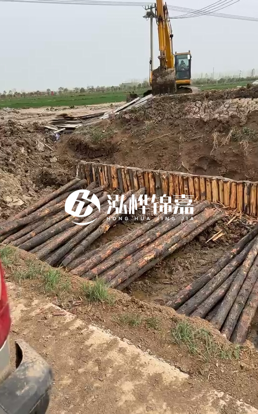 4米直徑12-13油松批發(fā)價最低多少？報價含稅含運嗎？