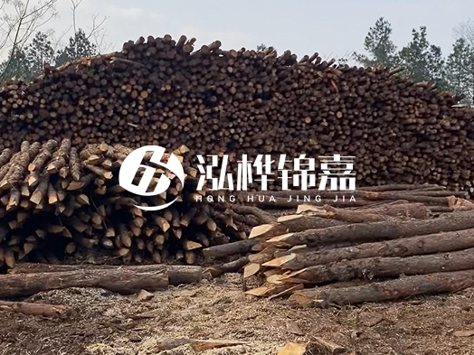 地基打木樁用什么木材 - 地基打木樁的能撐幾年？
