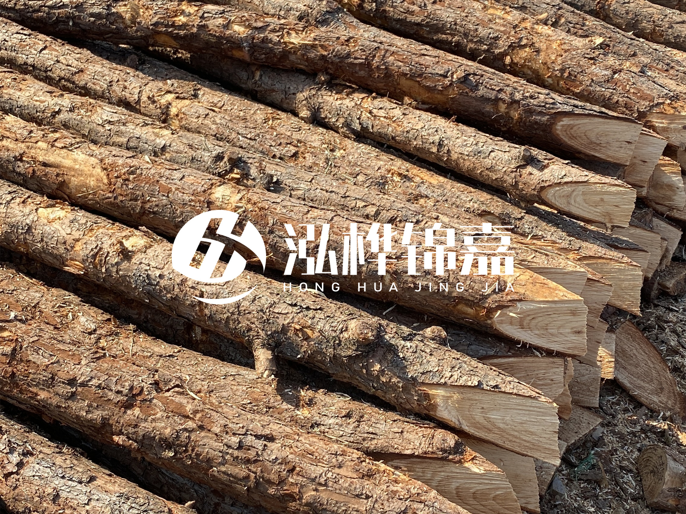 8 米超大直徑松木樁的價格是多少？帶皮和去皮松木樁價格差多少？