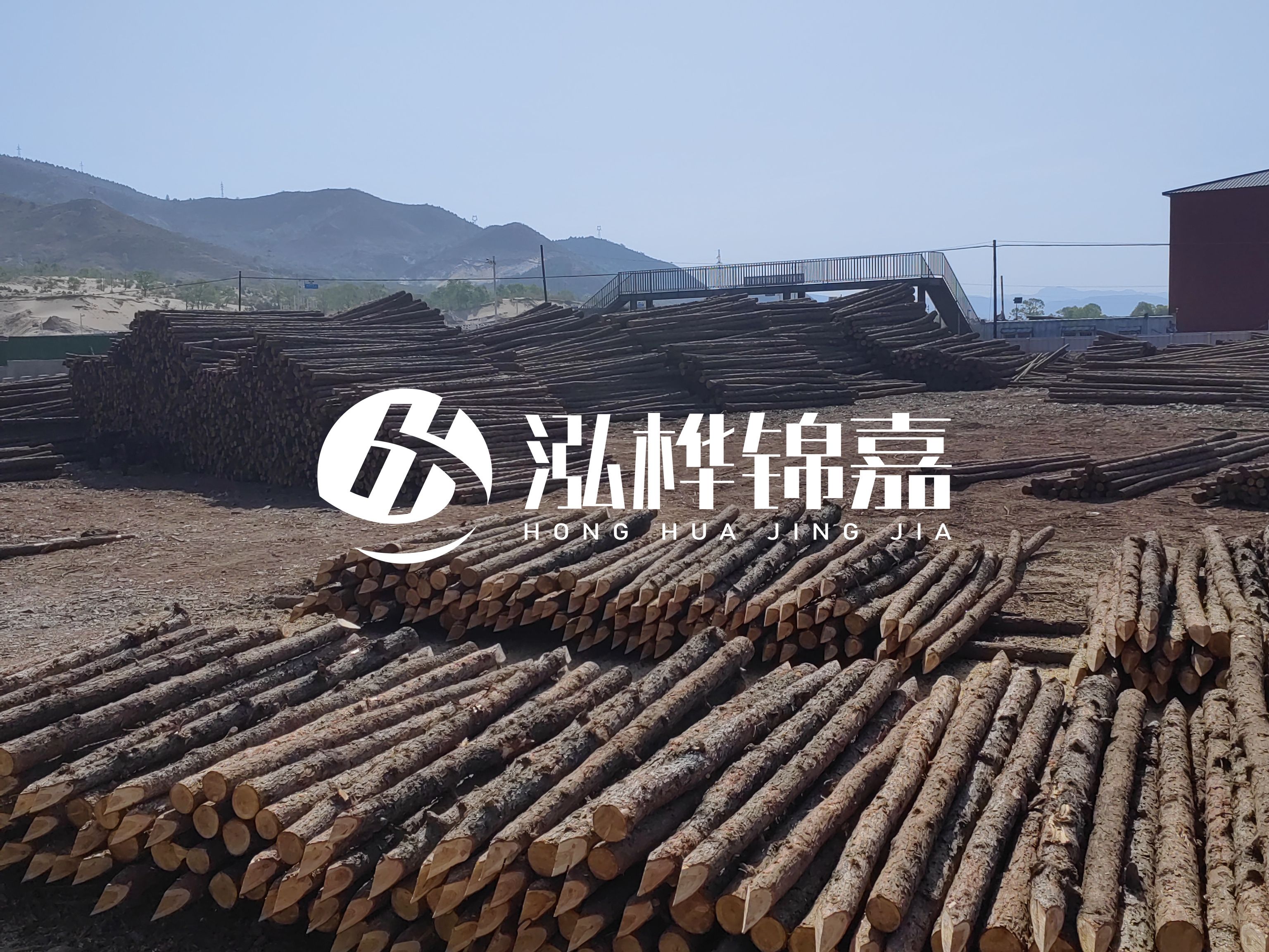 江蘇打樁木源頭廠家泓樺錦嘉-4米打樁木大頭14-16小頭一般多少？