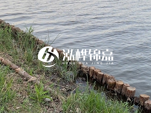 防洪松木樁施工重要性？河道打木樁的位置怎么確定？