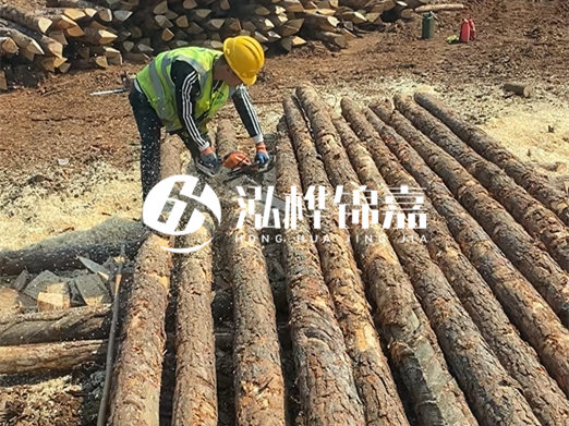 松木樁批發(fā)廠家泓樺錦嘉-河道打樁木施工中怎么防止樁頭被打壞？