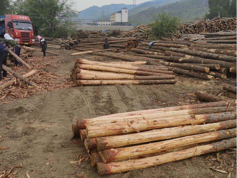 打造獨(dú)特魅力，混凝土著色劑為您加冕