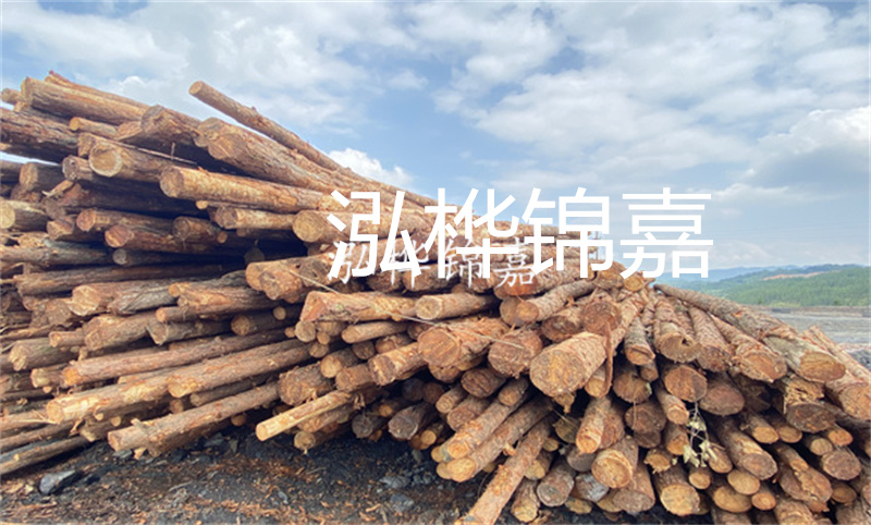 濮陽松木樁，卓越品質，安全可靠