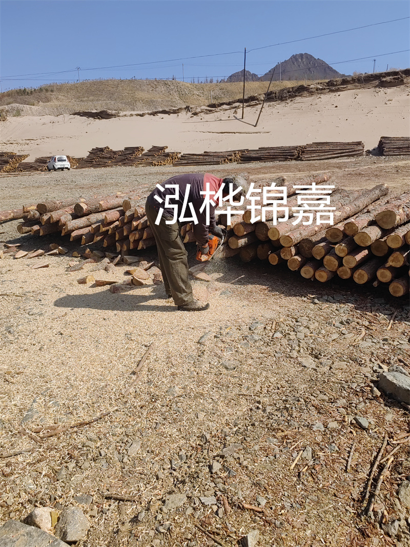 松木樁哪里有賣？挑選松木樁要注意什么？