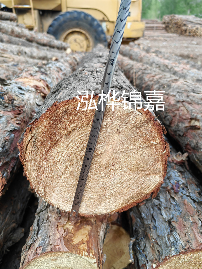 佛山哪里賣松木樁？這幾家銷售商值得您關(guān)注！